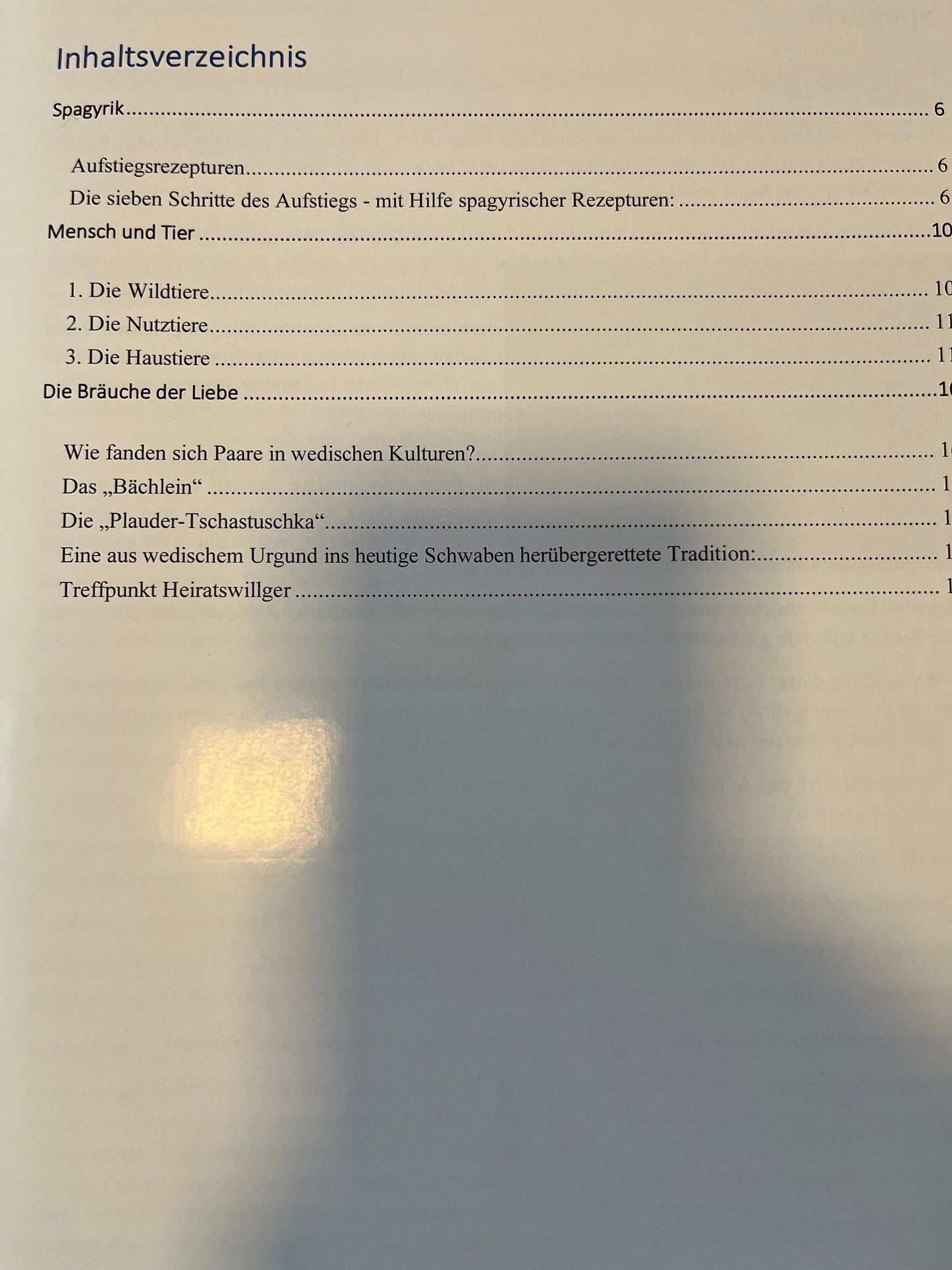 Magazin "Wedischer Studienkreis" Nr.31